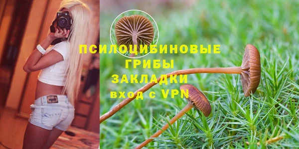Альфа ПВП Вязьма