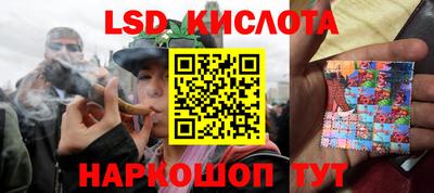 гидра Кандалакша