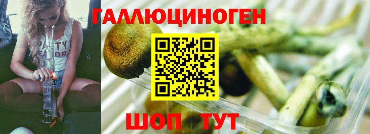 Галлюциногенные грибы MAGIC MUSHROOMS  Вход с VPN  Междуреченск 