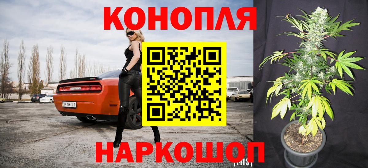 МАРИХУАНА сатива  Конопля Bruce Banner  Междуреченск  Вход с VPN  Канабис семена 